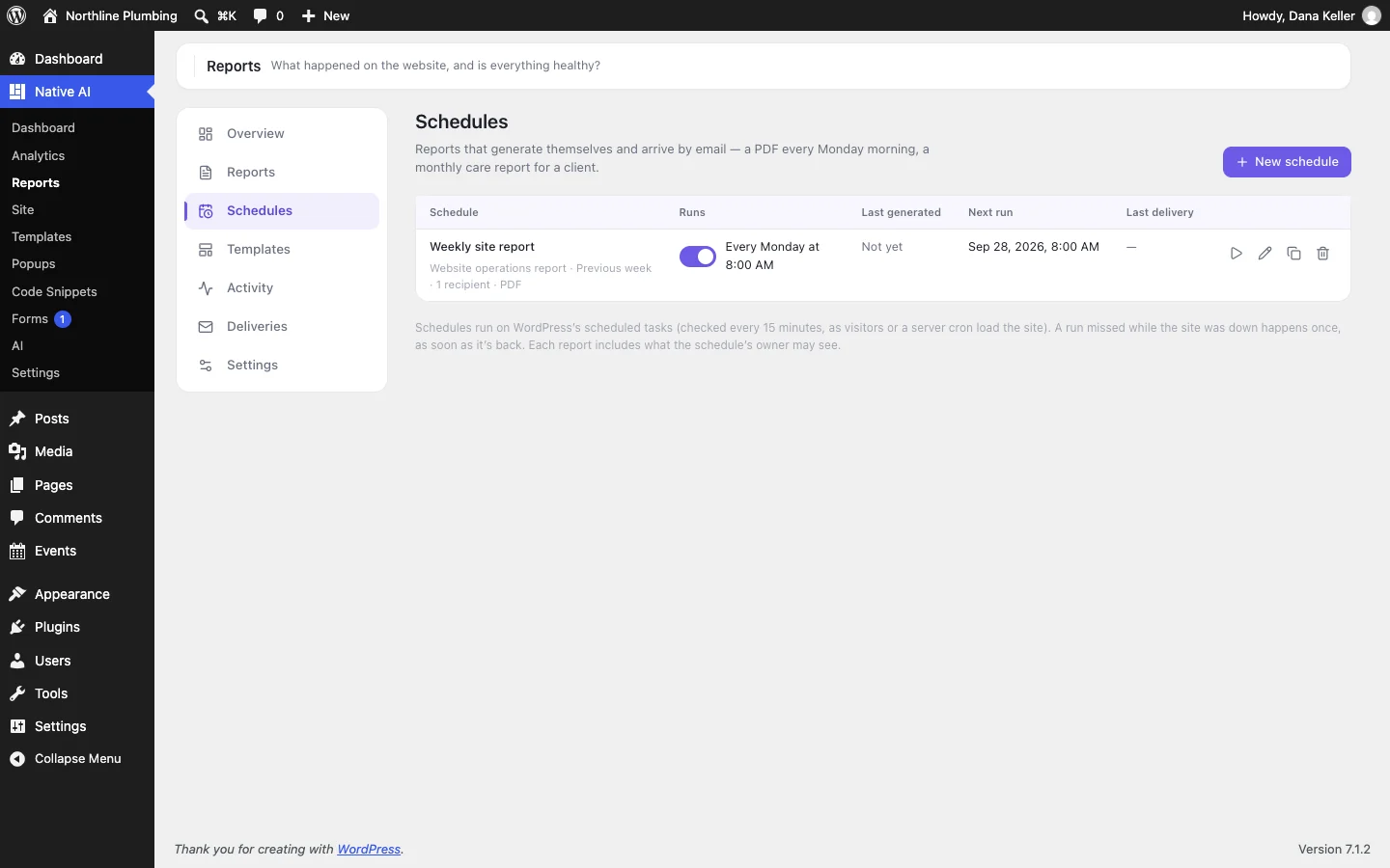 Report schedules: a weekly PDF report emailed to the site owner every Monday